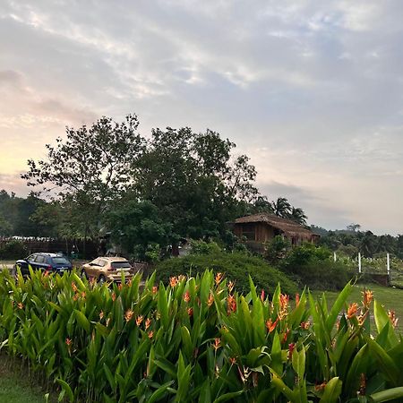 Hotel Moon Nest Dhoapalong Exterior foto